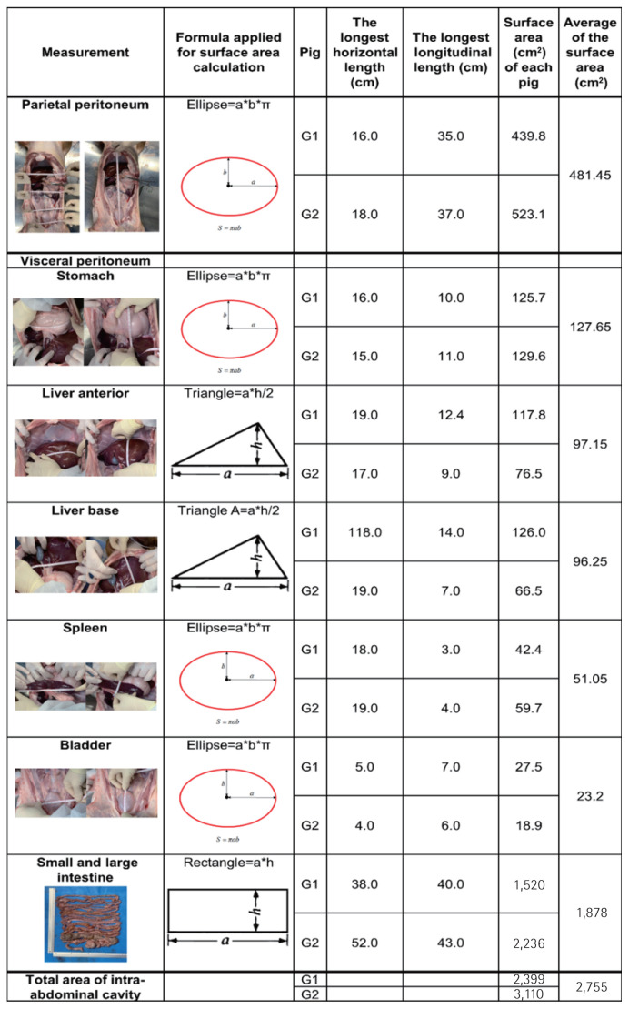 Prediction of the minimum amount of anti-adhesive agent required for entire intra-abdominal cavity using fluorescent dye.