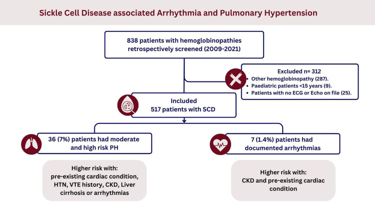 Cardiovascular Consequences of Sickle Cell Disease.