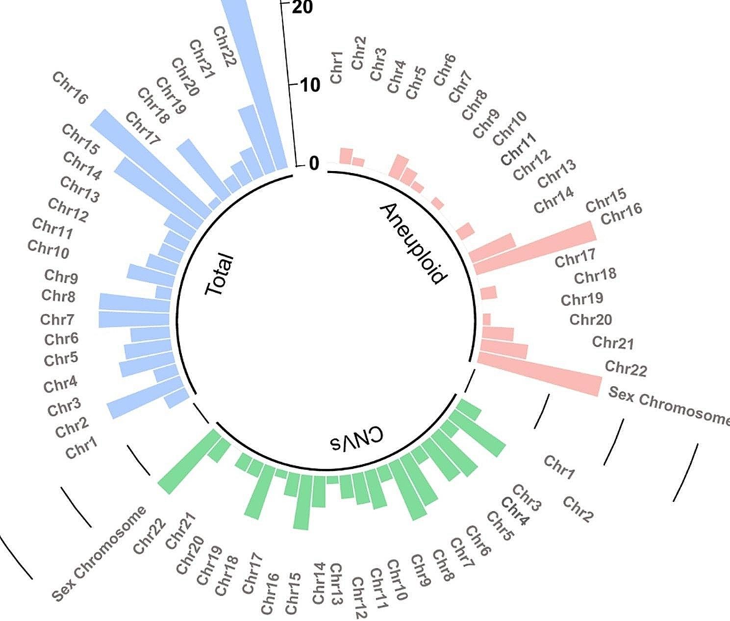Analysis of copy number variants detected by sequencing in spontaneous abortion.