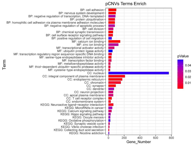Analysis of copy number variants detected by sequencing in spontaneous abortion.