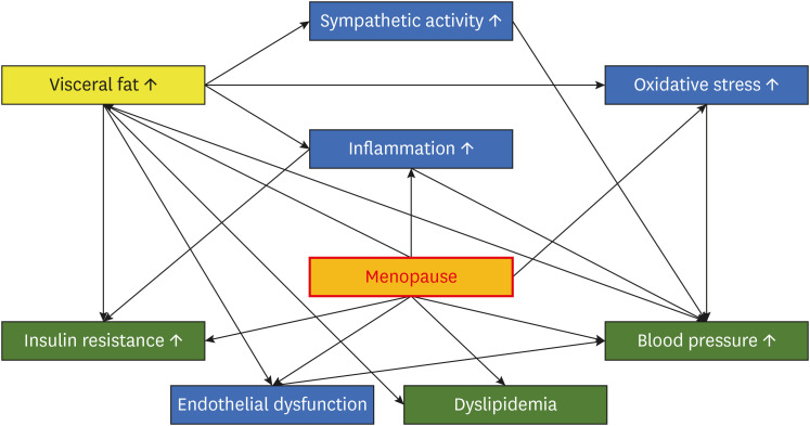 Differences in Risk Factors for Coronary Atherosclerosis According to Sex.