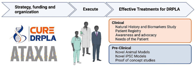 Establishing resources and increasing awareness to advance research on Dentatorubral-pallidoluysian atrophy toward a treatment: a patient organization perspective.