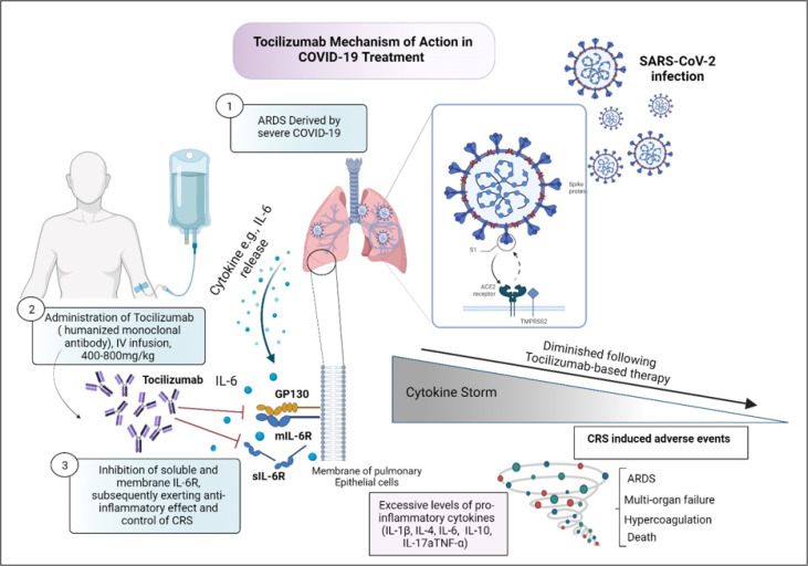 Therapeutic Impact of Tocilizumab in the Setting of Severe COVID-19; an Updated and Comprehensive Review on Current Evidence.