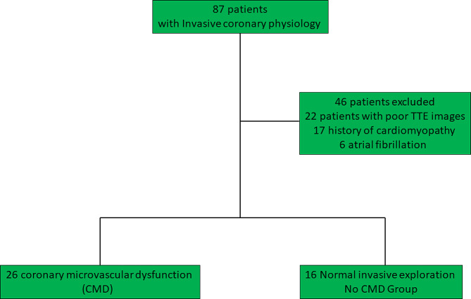 Coronary microvascular dysfunction and atrial reservoir function.