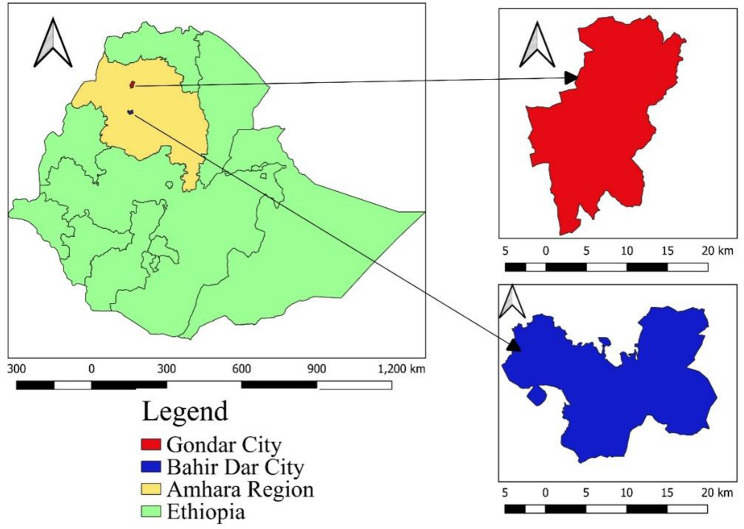 Detection and antibiogram profile of diarrheagenic Escherichia coli isolated from two abattoir settings in northwest Ethiopia: a one health perspective.