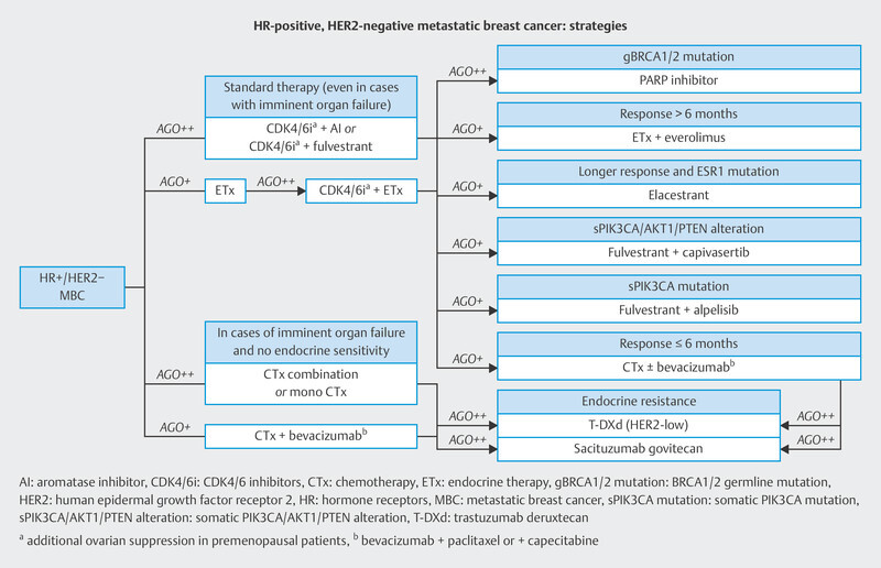 Update Breast Cancer 2024 Part 1 - Expert Opinion on Advanced Breast Cancer.