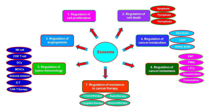 Role of Exosomes in Cancer and Aptamer-Modified Exosomes as a Promising Platform for Cancer Targeted Therapy.