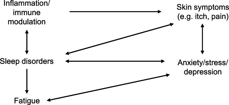 The role of benzodiazepines in common conditions: a narrative review focusing on lormetazepam.