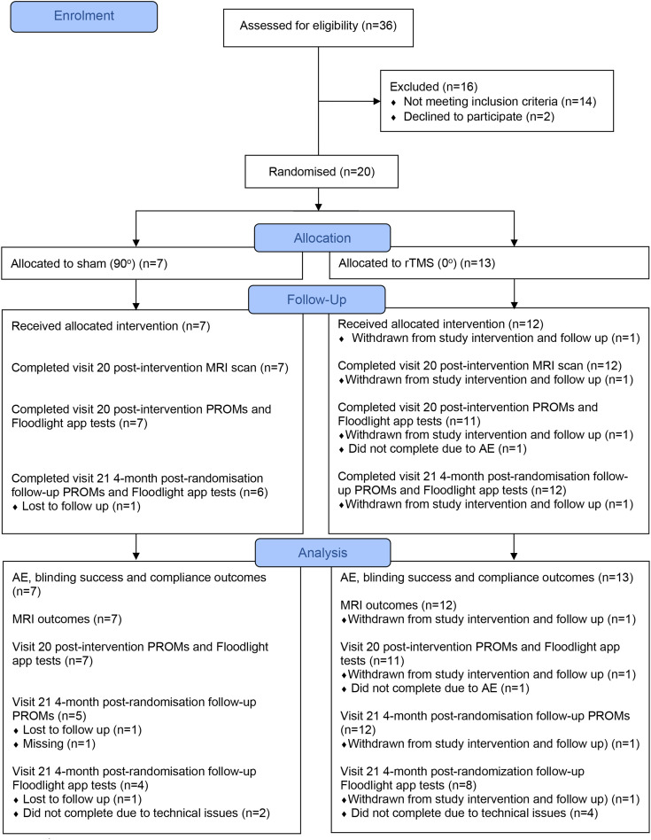 Low-intensity repetitive transcranial magnetic stimulation is safe and well tolerated by people living with MS - outcomes of the phase I randomised controlled trial (TAURUS).