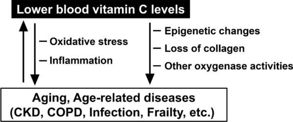 The evidence to date: implications of l-ascorbic acid in the pathophysiology of aging.