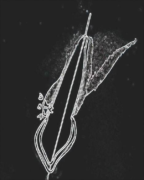 Abstract Image