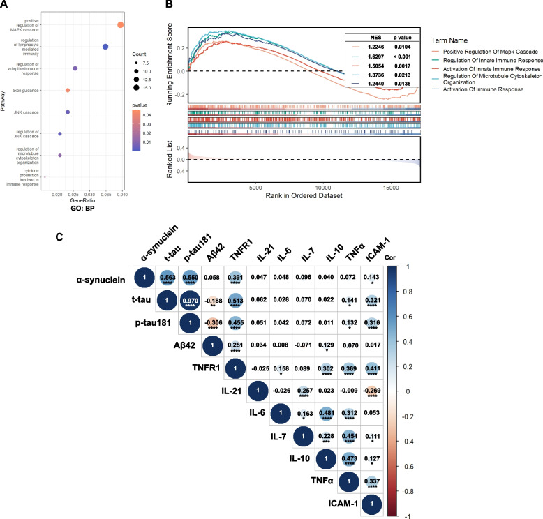 Cerebrospinal fluid α-synuclein adds the risk of cognitive decline and is associated with tau pathology among non-demented older adults.