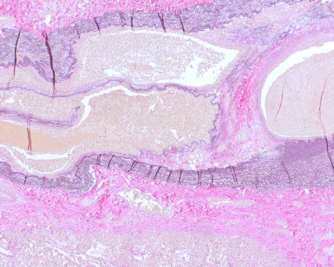 Abstract Image