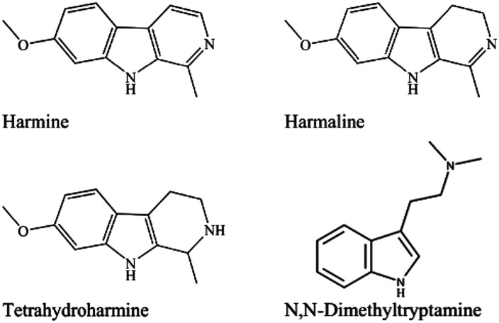 Ayahuasca and Dimethyltryptamine Adverse Events and Toxicity Analysis: A Systematic Thematic Review.