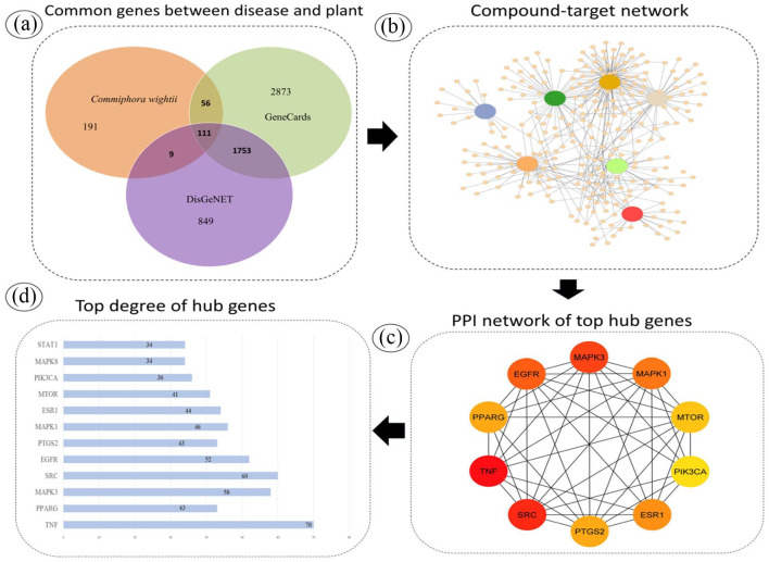 Integrating Network Pharmacology and Molecular Docking Approach to Elucidate the Mechanism of <i>Commiphora wightii</i> for the Treatment of Rheumatoid Arthritis.