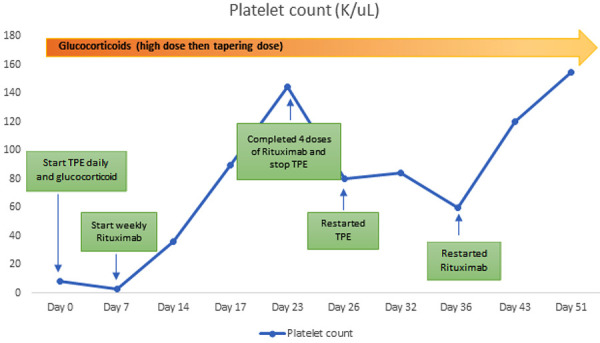 A case of acquired thrombotic thrombocytopenic purpura following near-drowning.