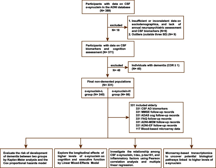 Cerebrospinal fluid α-synuclein adds the risk of cognitive decline and is associated with tau pathology among non-demented older adults.