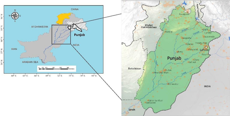 Study of medicinal plants used in ethnoveterinary medical system in riverine areas of Punjab, Pakistan.