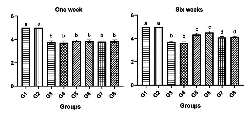 Delayed repair of the facial nerve and its negative impacts on nerve and muscle regeneration.