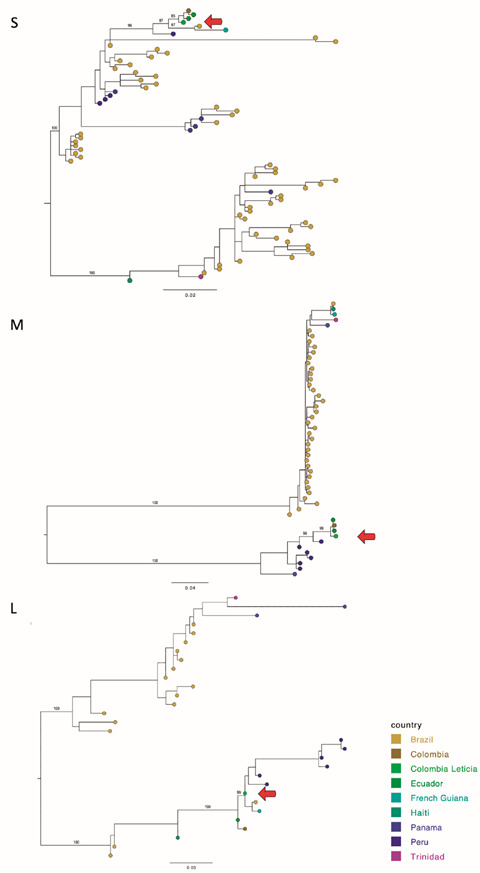 First case of Oropouche fever detected in the international border region of the Colombian Amazon: clinical characteristics and molecular diagnosis.