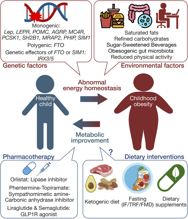 Genetics, pharmacotherapy, and dietary interventions in childhood obesity.
