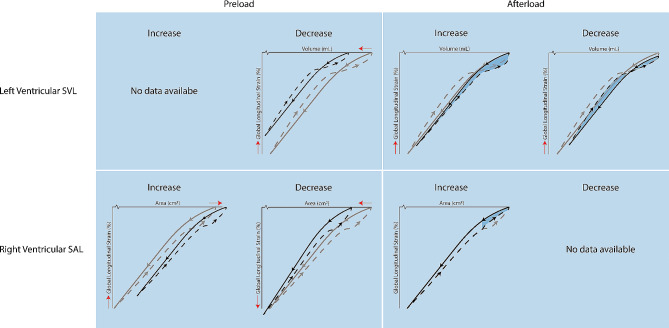 Left and right ventricular strain-volume/area loops: a narrative review of current physiological understanding and potential clinical value.