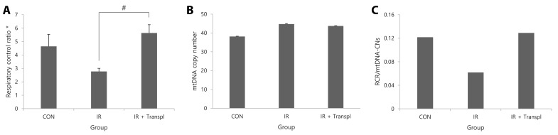 Cardioprotection <i>via</i> mitochondrial transplantation supports fatty acid metabolism in ischemia-reperfusion injured rat heart.