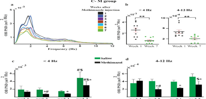 Investigating Olfactory Sensory Neurons Facilitation For Aerobic Exercise-induced Spatial Memory Improvement.