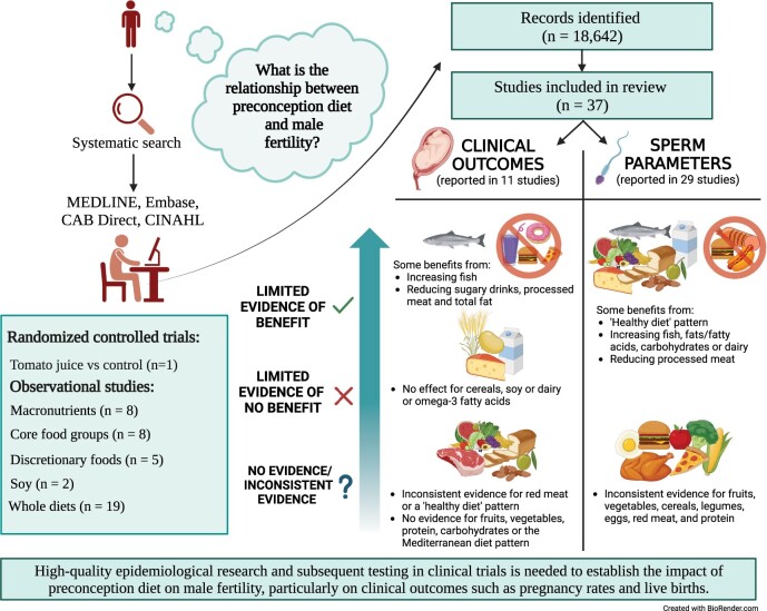 Assessing the influence of preconception diet on male fertility: a systematic scoping review.