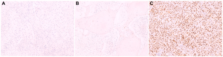 Abstract Image