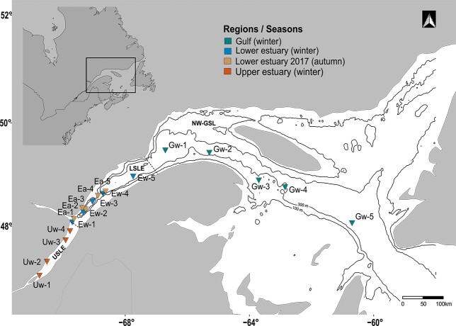 Living at depth: ecophysiological condition of <i>Boreomysis arctica</i> in autumn and winter in the St. Lawrence estuary and gulf.