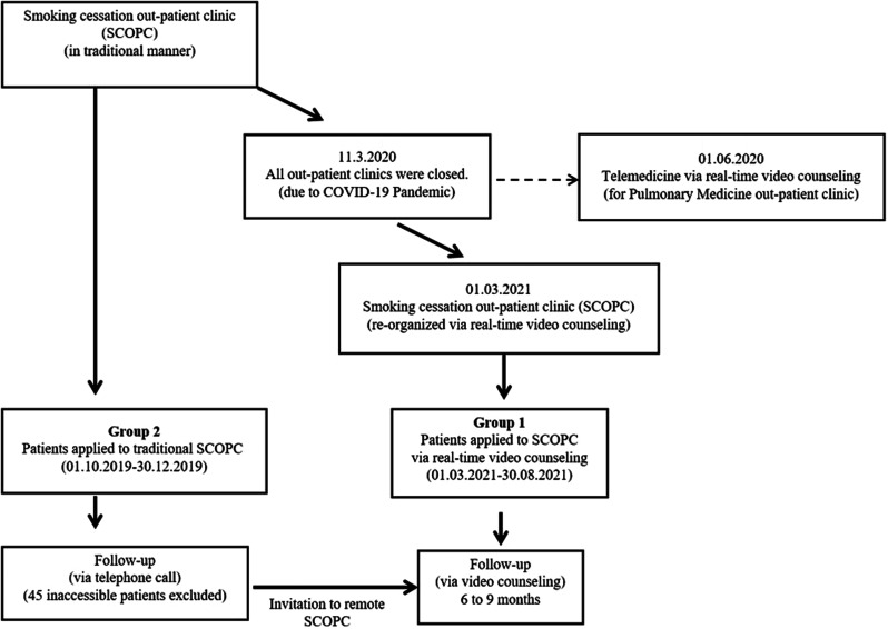 Smoking Cessation Support via Video Counseling (e-Cessation): A Promising Field for Telemedicine Implementation.
