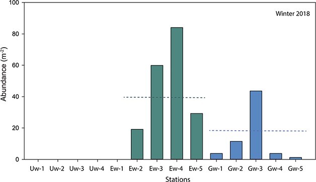 Living at depth: ecophysiological condition of <i>Boreomysis arctica</i> in autumn and winter in the St. Lawrence estuary and gulf.