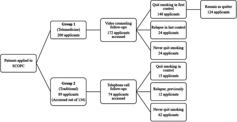 Smoking Cessation Support via Video Counseling (e-Cessation): A Promising Field for Telemedicine Implementation.