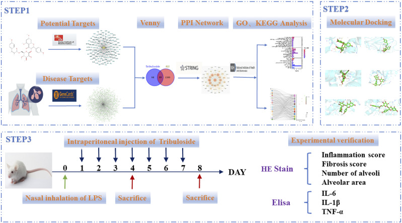 Tribuloside: Mechanisms and Efficacy in Treating Acute Lung Injury Revealed by Network Pharmacology and Experimental Validation.