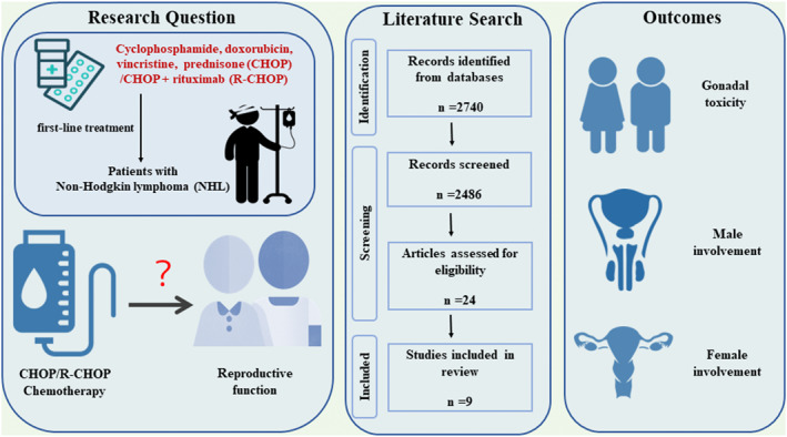 Reproductive adverse events in patients with non-Hodgkin lymphoma treated with chemotherapeutic regimens including cyclophosphamide, doxorubicin, vincristine, prednisone or CHOP with rituximab: A systematic review and meta-analysis.