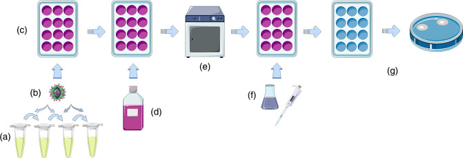 Dengue: A review of laboratory diagnostics in the vaccine age.