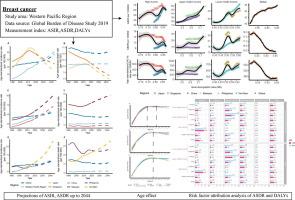 Temporal trends of breast cancer burden in the Western Pacific Region from 1990 to 2044: Implications from the Global Burden of Disease Study 2019