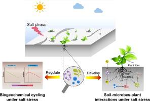 Microbial diversity and functions in saline soils: A review from a biogeochemical perspective