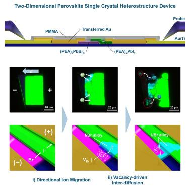 Electrically induced directional ion migration in two-dimensional perovskite heterostructures