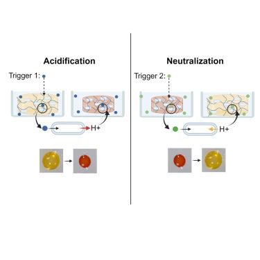 Microbially driven reversible size- and color-changing materials