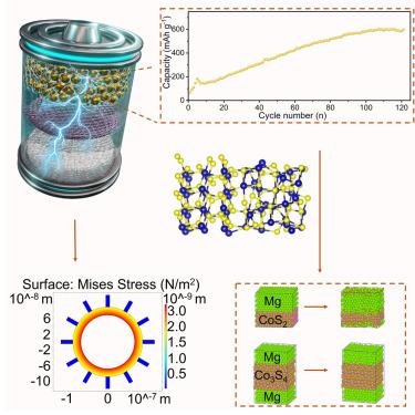 Heterojunction structure of cobalt sulfide cathodes for high-performance magnesium-ion batteries