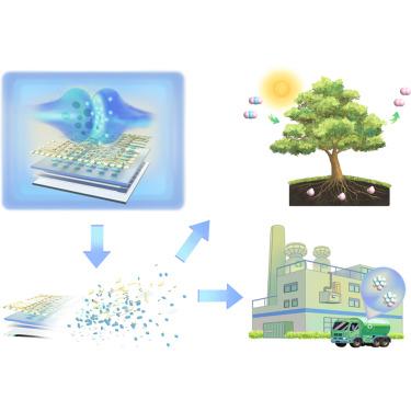 Environmentally friendly and degradable organic neuromorphic vision sensors