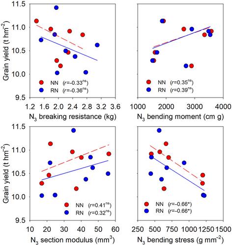 Varietal differences in stem assimilate translocation and lodging resistance of rice under reduced nitrogen input