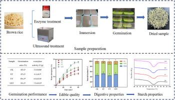 Effect of ultrasound-assisted enzyme pretreatment on γ-aminobutyric acid content, eating quality and starch properties of germinated brown rice