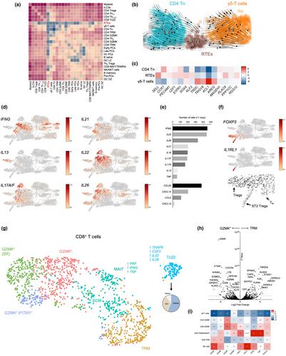 Maintenance of caecal homeostasis by diverse adaptive immune cells in the rhesus macaque