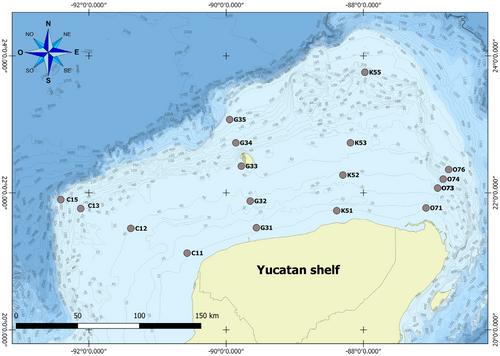 Structure and composition of microbial communities in the water column from Southern Gulf of Mexico and detection of putative hydrocarbon-degrading microorganisms