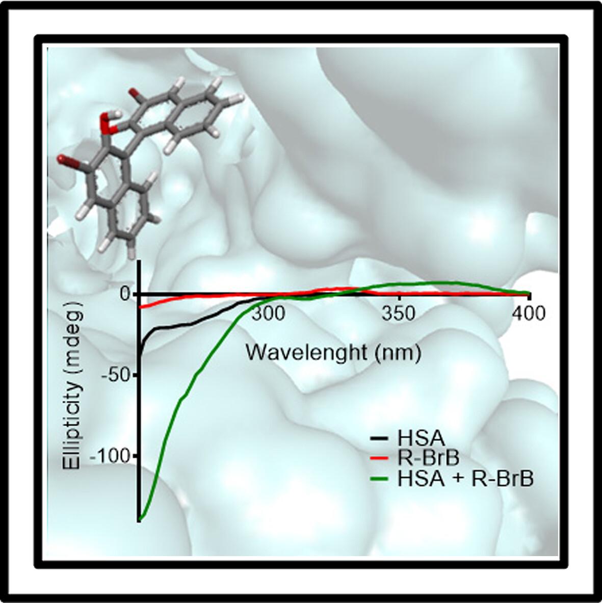 Circular dichroism spectrum of (R)-(+)-3,3′-dibromo-1,1′-bi-2-naphthol in albumin: Alterations caused by complexation—Experimental and in silico investigation