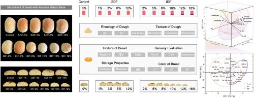 Enrichment of bread with soluble and insoluble rice bran dietary fibers: A comparative study