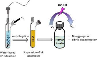 Cyrene- and water-based exfoliation of black phosphorus for potential nanolayer-mediated disaggregation of insulin fibrils